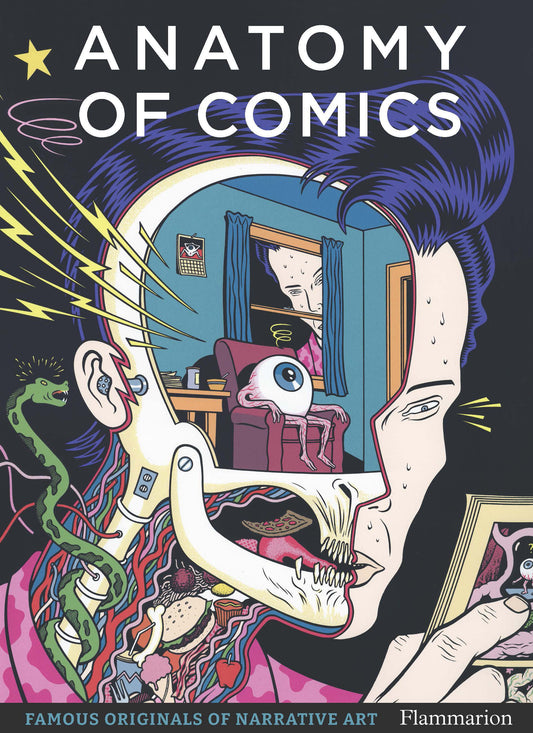 Anatomy of Comics image