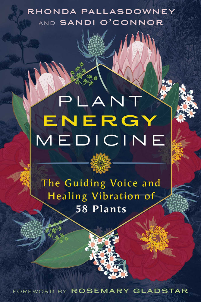 Plant Energy Medicine The Guiding Voice and Healing Vibration of 58 Plants image - Books - Image - Pop Weasel