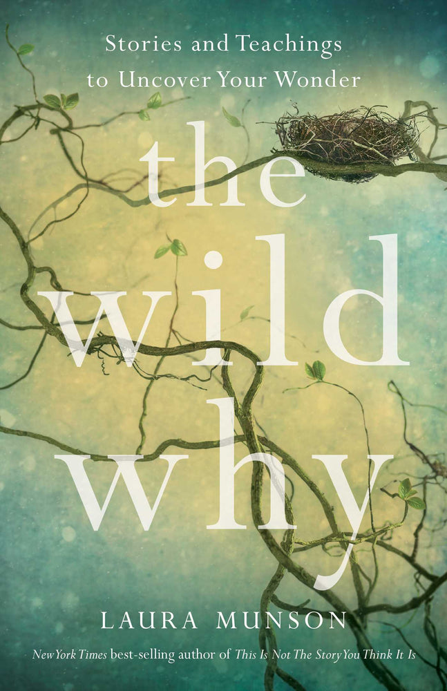 The Wild Why Stories and Teachings to Uncover Your Wonder image - Books - Image - Pop Weasel