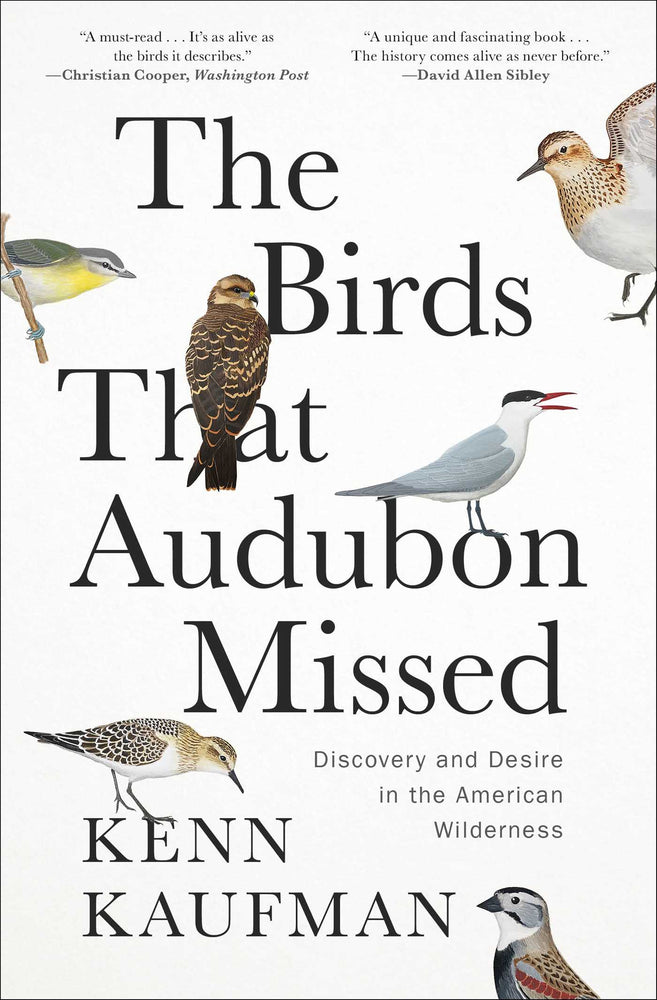 The Birds That Audubon Missed Discovery and Desire in the American Wilderness image - Books - Image - Pop Weasel