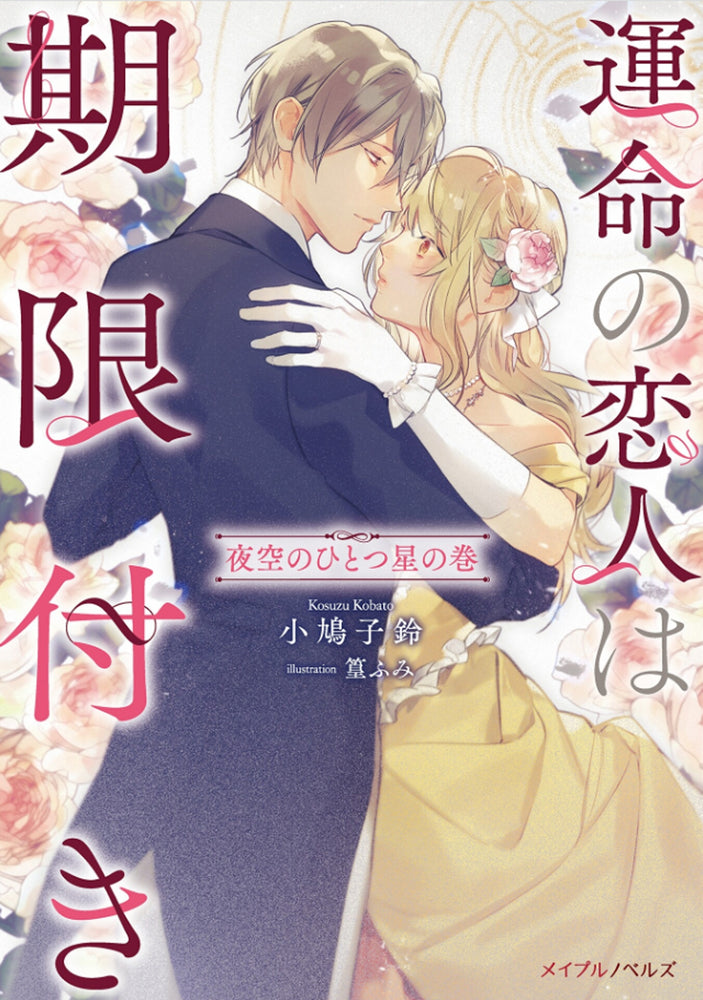 True Love Fades Away When the Contract Ends - One Star in the Night Sky (Light Novel) [Volume 1] | TPB - Manga - Image - Pop Weasel