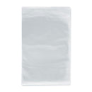 Silver/Regular Comic Bags (100 Pack)