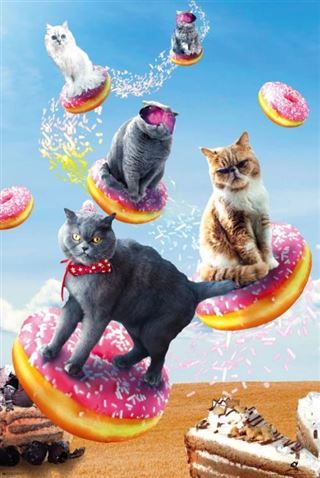 Random Galaxy - Cats Riding Donuts Poster - Posters - Image - Pop Weasel