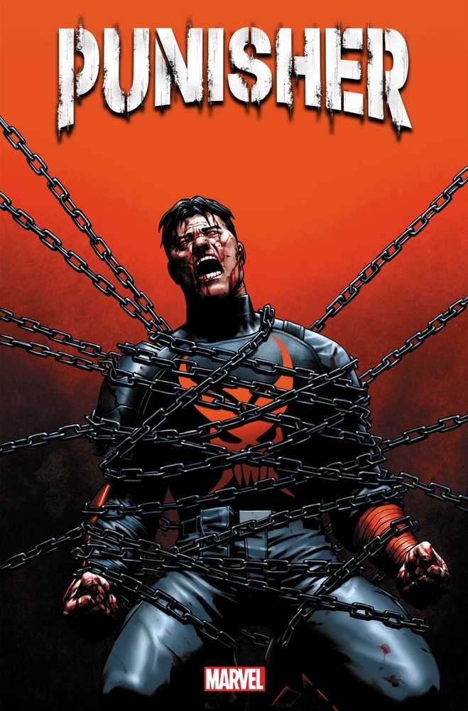 Punisher - Comics - Image - Pop Weasel