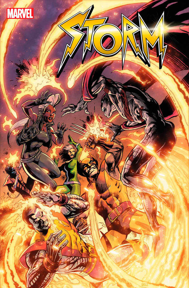 Storm 3 - Comics - Image - Pop Weasel