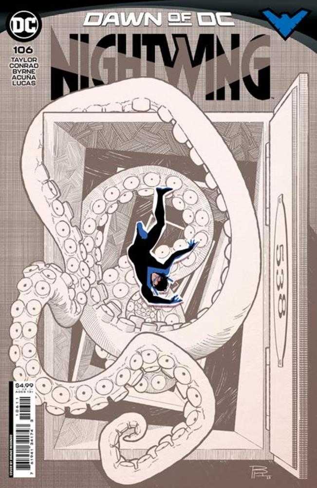 Nightwing - Comics - Image - Pop Weasel